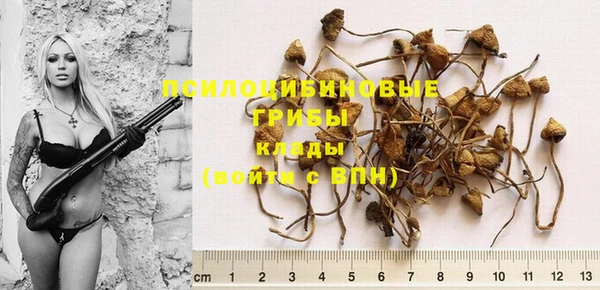 PSILOCYBIN Медногорск
