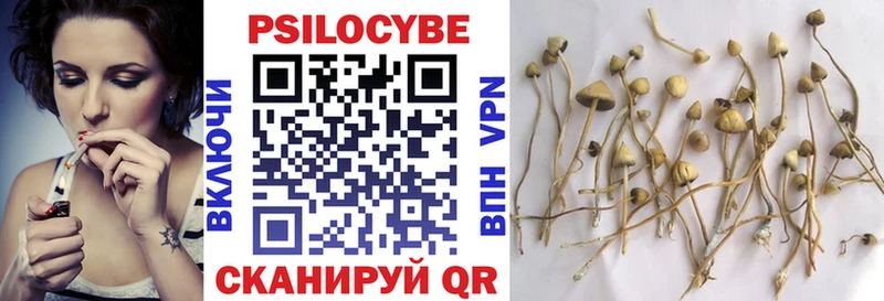 Галлюциногенные грибы Psilocybine cubensis  Анадырь 